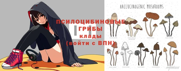 mdpv Надым