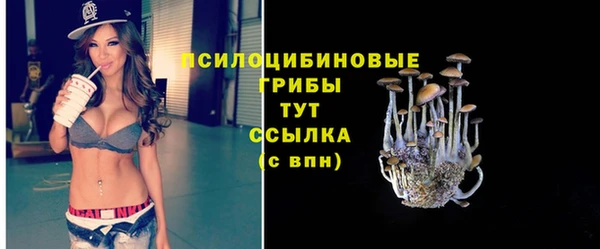 mdpv Надым